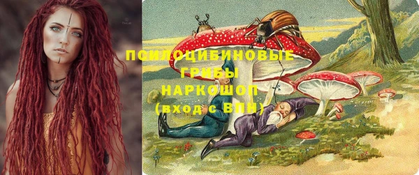 гидра Алексеевка