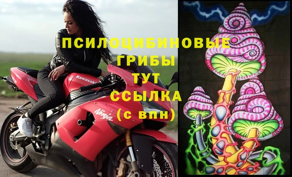 гидра Алексеевка