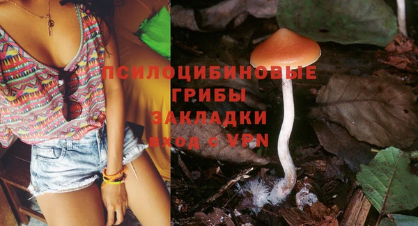 МДПВ Абдулино
