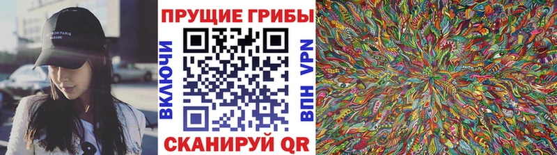 omg ссылки  Фёдоровский  Галлюциногенные грибы мицелий 